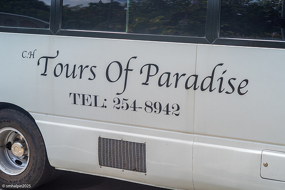 Barbados - Caves