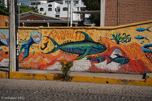 PuertoVallarta-4956