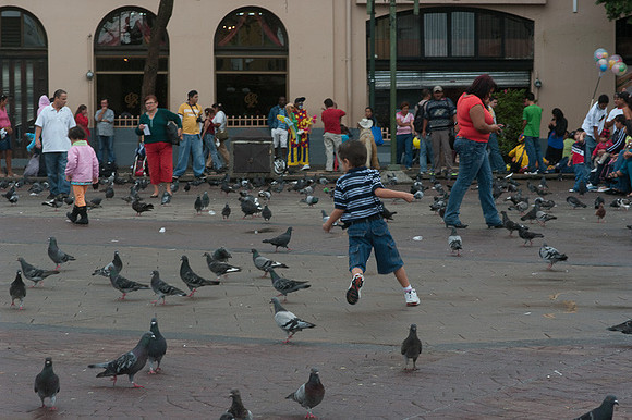 20100606-K20E3667