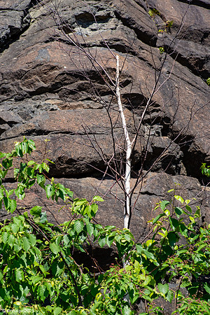 Lake Superior, Duluth area