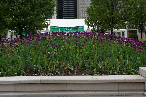 ChicagoPlaces-8