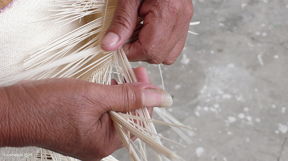 Panama Hat (in process of being woven)