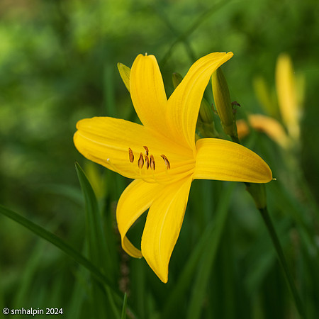 Spring2024-0490