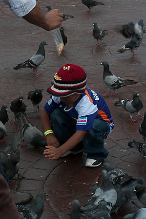 20100606-K20E3678