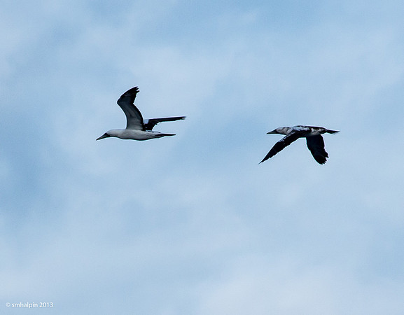 20130220-K52B1525