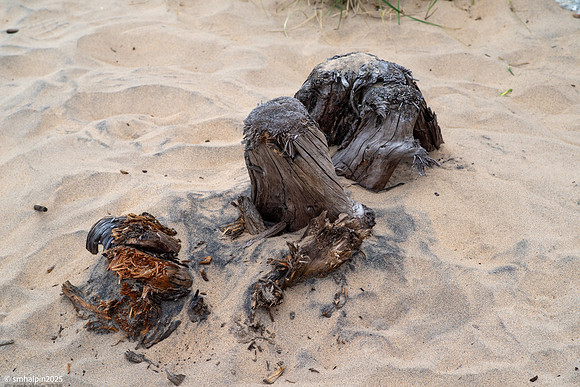 Whitefish Point, Lake Superior