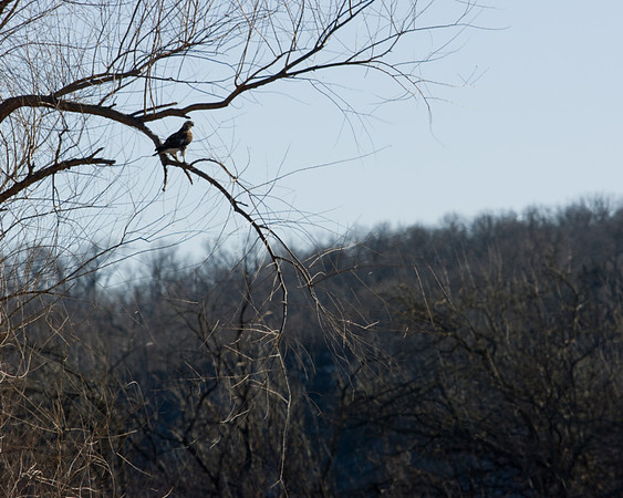 Squaw Creek-6832