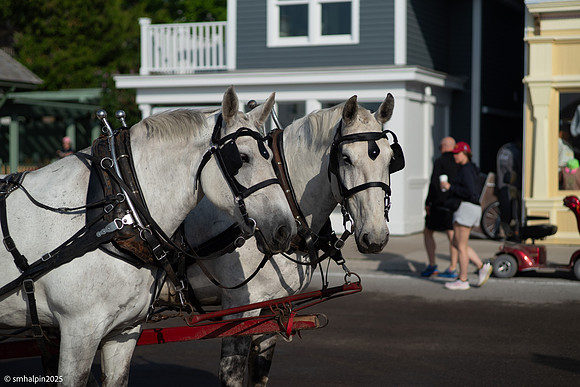 Mackinac Island