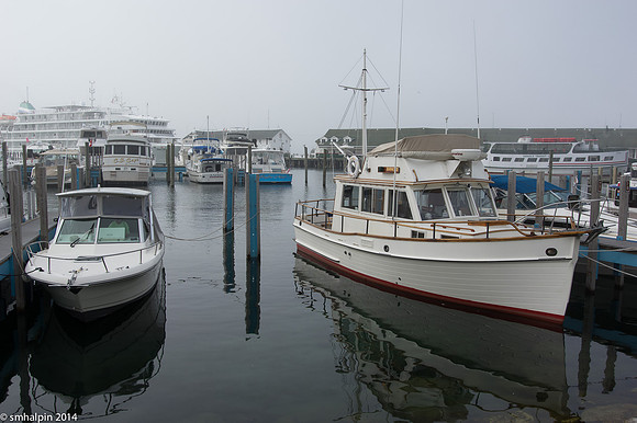 Harbor