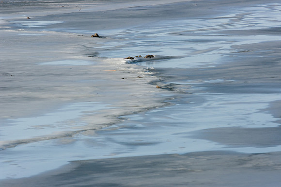 Squaw Creek-6872