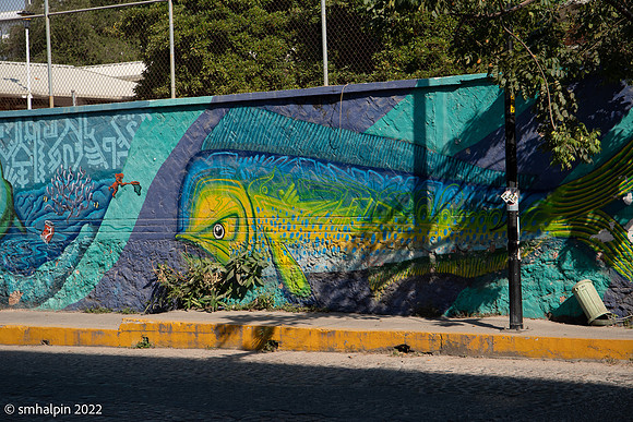 PuertoVallarta-4954